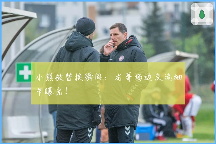 小熊被替换瞬间，龙哥场边交流细节曝光！